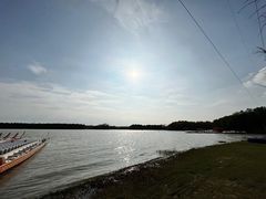 -上海海湾国家森林公园