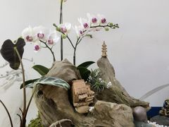 -厦门园林博览苑