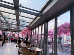 -城市露台景观餐厅(淮海路店)