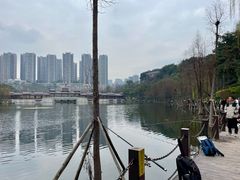 -重庆彩云湖湿地公园