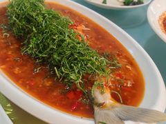 -老字号怡玺·藿香雅鱼(20年雅安店)