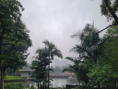 -荔枝公园(福田区)