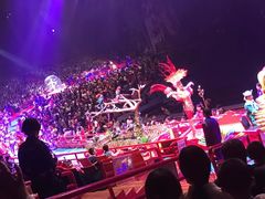 -广州长隆国际大马戏