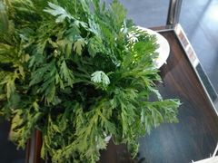 茼蒿-荷香婆婆鱼锅(七一路店)