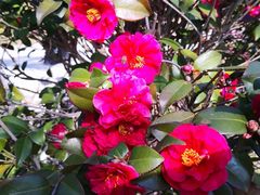 -东钱湖小普陀景区