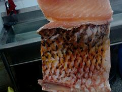 野生鲤鱼-林上生态鱼园