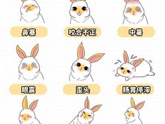 -守诺宠物医院·眼科· 特色牙科·异宠专科(虹口店)