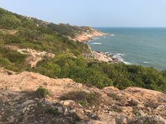 -广东惠东海龟国家级自然保护区
