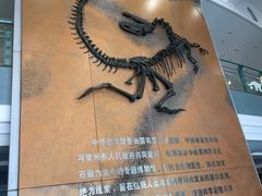 -中华恐龙园
