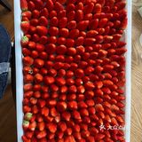 这个季节的草莓自由必须拥有！