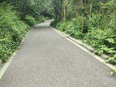 -冶父山国家森林公园