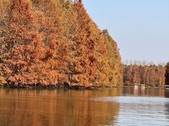 -上海海湾国家森林公园