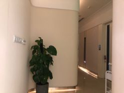 -美丽田园Beauty Farm