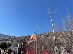 -北京凤凰岭