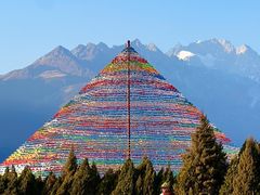 -丽江植物园