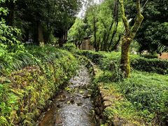 -清漾毛氏文化村