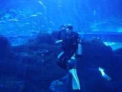 -成都浩海立方海洋公园