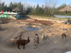 -西安秦岭野生动物园