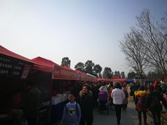 -秀丽东方
