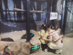 -酷嗒动物文化乐园(cutezoo西溪乐天城店)