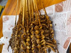 -十里铺铁板鱿鱼