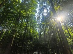 -山王坪喀斯特国家生态公园