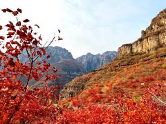 -狼牙山风景区
