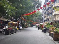 -泡桐树街