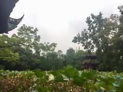 -房湖公园