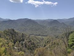 -黑河国家森林公园