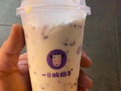 -一只酸奶牛(八一路店)