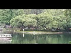 -晓港公园