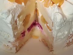 芒露-维尔纳斯·生日蛋糕·动物奶油冰淇淋蛋糕(六里桥店)