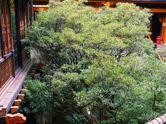 景观位-鱼桥巷·美学川菜