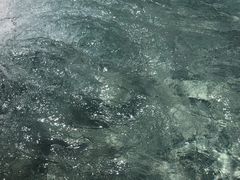 -齐河孔雀王温泉酒店·金孔雀自助百汇