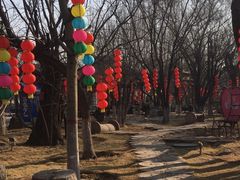 -大槐树寻根祭祖园