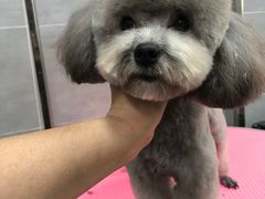 -宠福鑫康馨动物医院·骨科·眼科