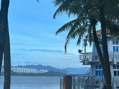 -深圳湾公园(南山区)
