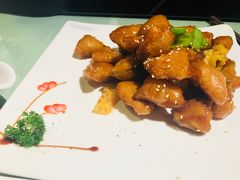 -天厨妙香素食餐厅(清华店)