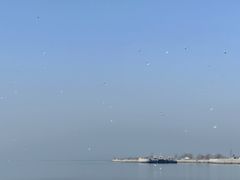 -营口金泰珑悦海景大酒店
