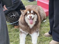 -上海神旺大酒店