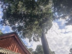 -七曲山风景区