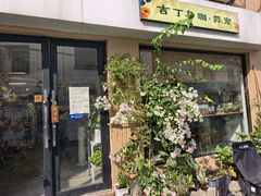 -吉丁鸟咖·异宠·寄养