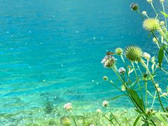 -叠溪松坪沟景区