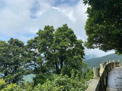 -梧桐山风景名胜区