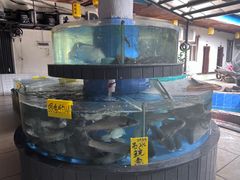 -台山第一家兴华黄鳝饭·黄鳝婆(合水分店)