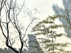 -苏州园林博物馆
