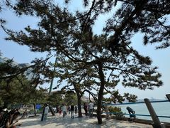 -青岛海滨风景区
