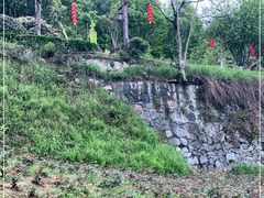 -屈原故里文化旅游区