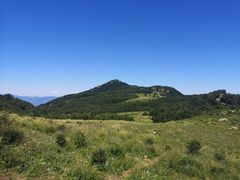 -白草畔自然风景区